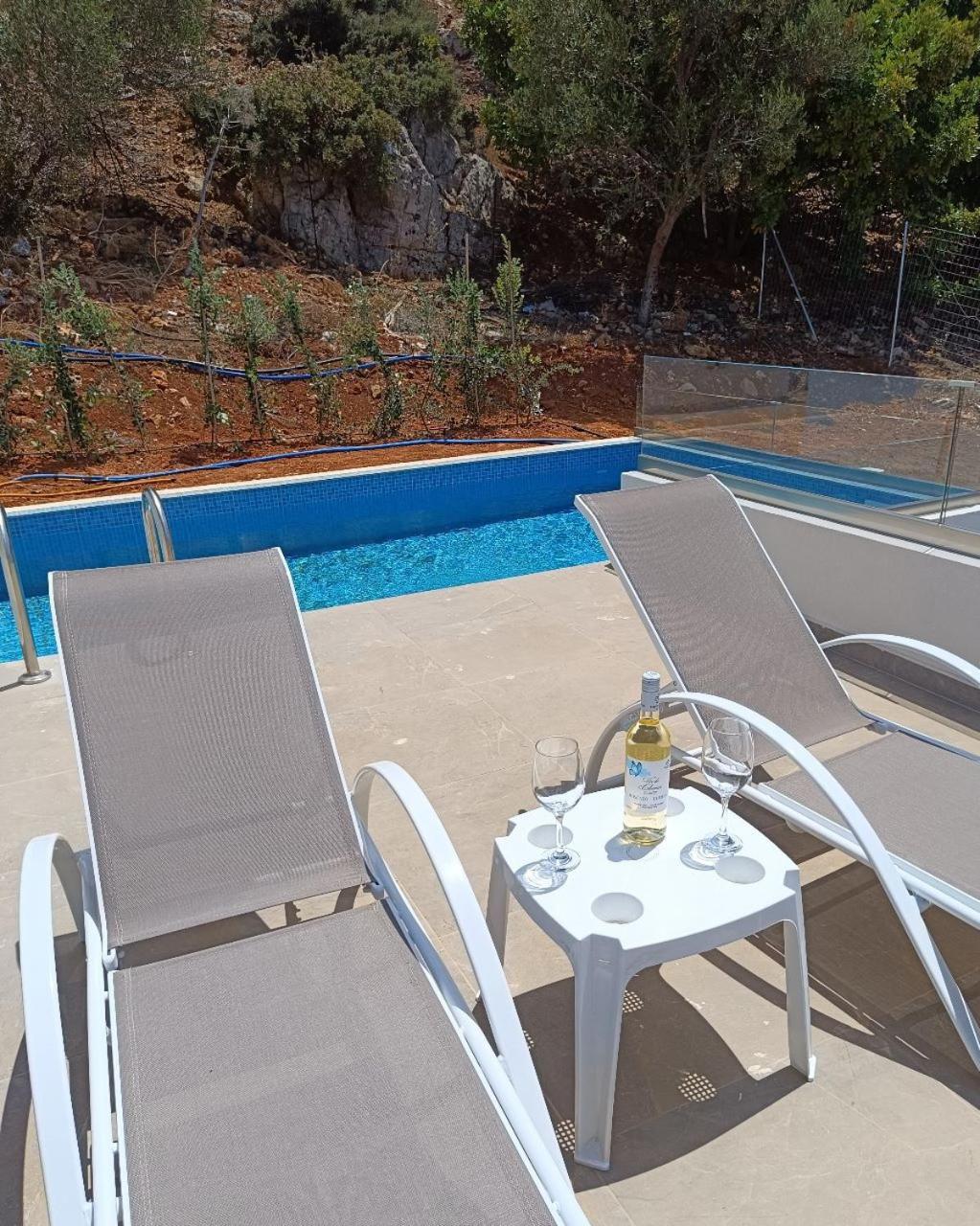 Isabel Artemis Crete - Luxury Sea Views Villas Nopigia Exterior foto
